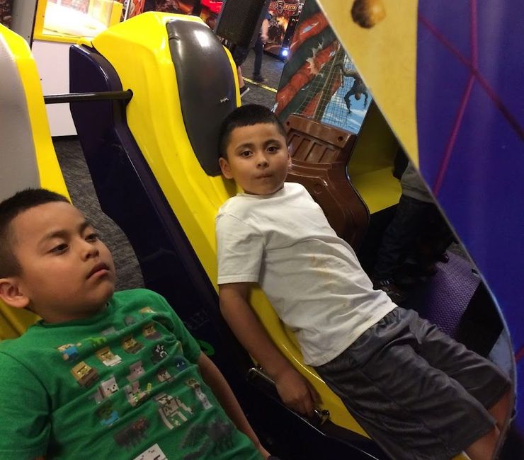 The Bins – Phoenix