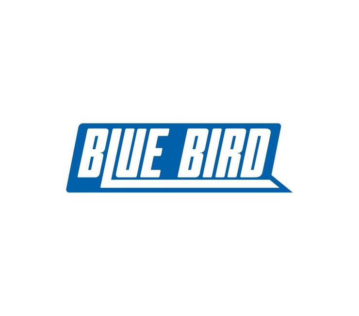 Blue Bird Liquidation