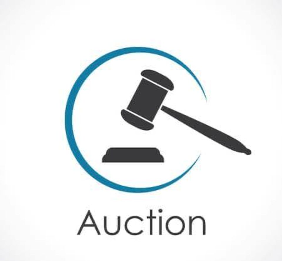 Amazon liquidation truckload auction