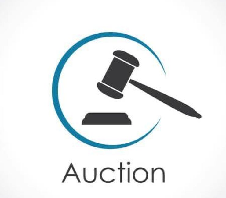 Amazon liquidation truckload auction