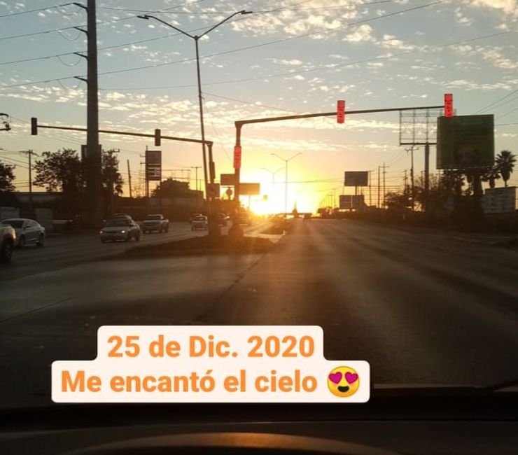 Pickers Palace Bin Store