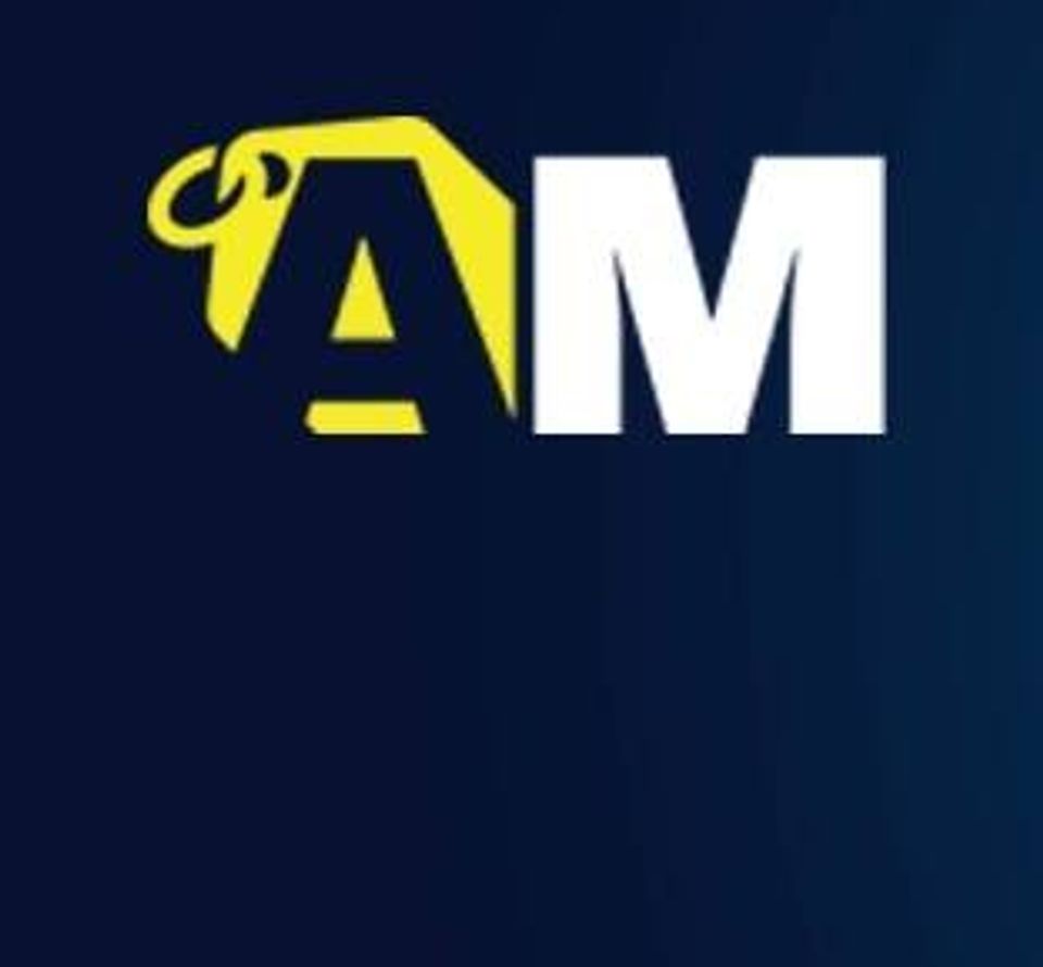 Amir Group Liquidation