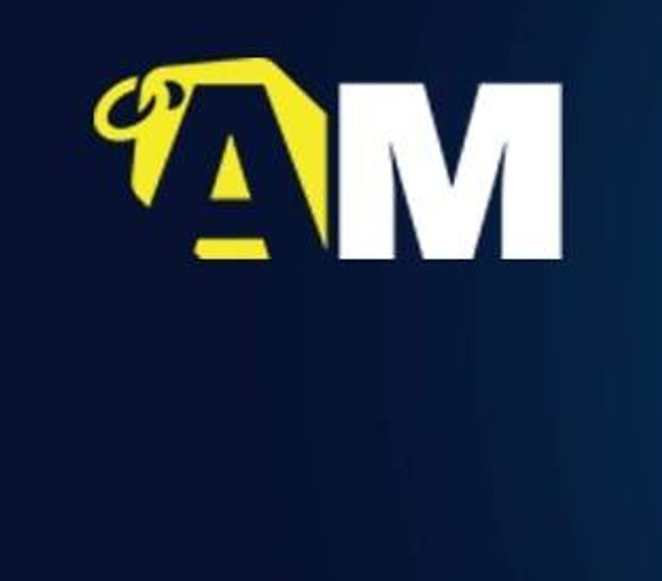 Amir Group Liquidation